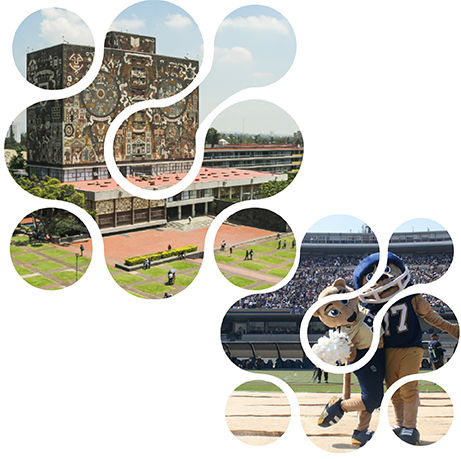 Imagenes foto unam